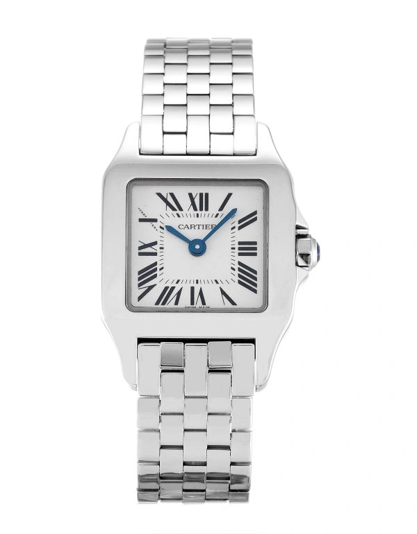 Flexible Cartier Santos Demoiselle W25064Z 865