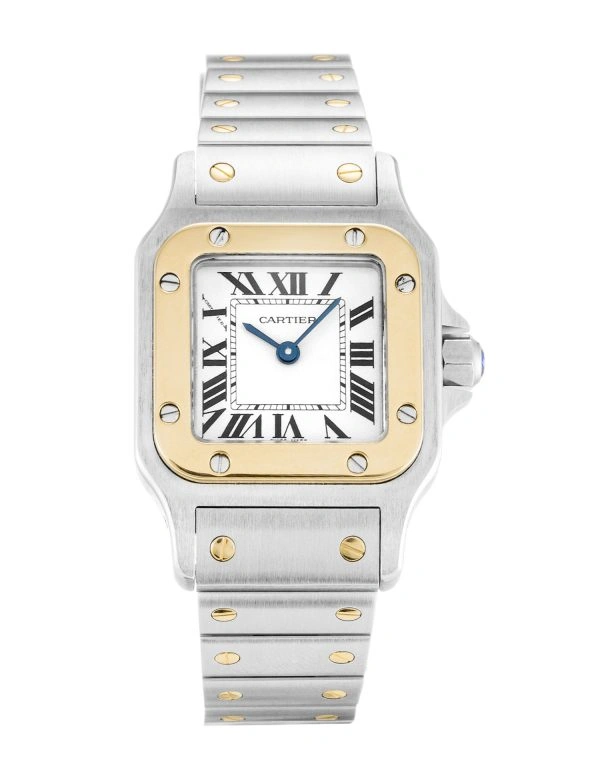 Stylish Cartier Santos W20012C 878