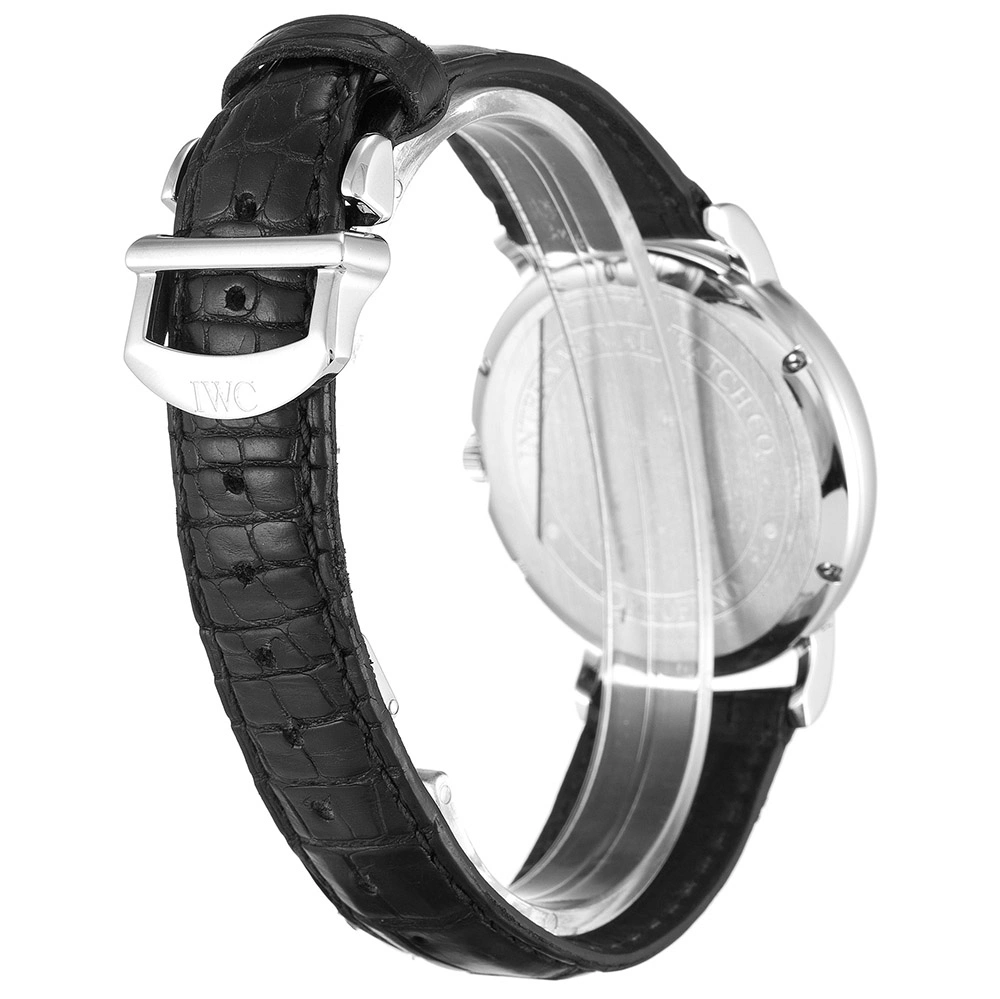 IWC Portofino Automatic IW GoodFit 1053
