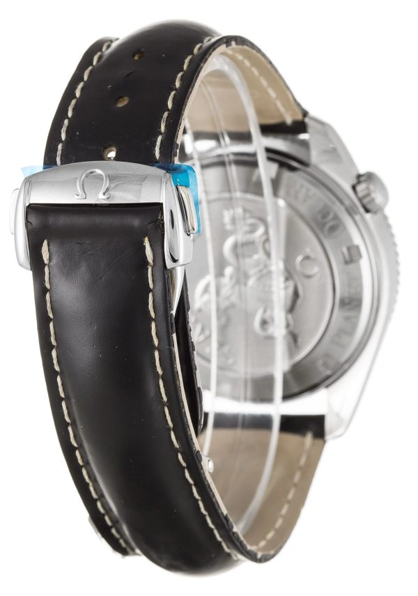 Youthful Omega Planet Ocean 2901.50. 815