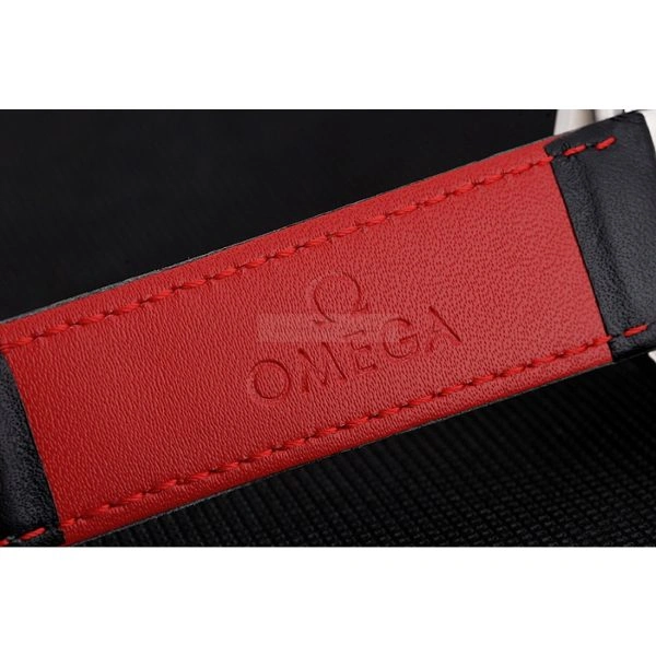 Omega Seamaster FlexibleFit 489