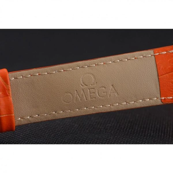 Omega Seamaster Resilient 491