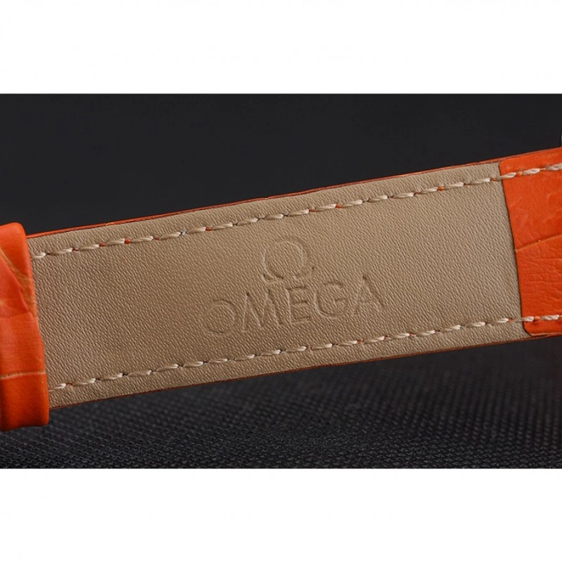 Omega Seamaster Resilient 491