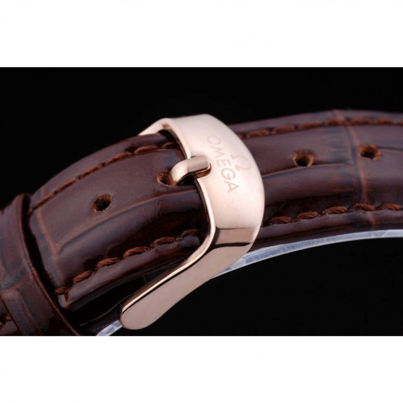 Omega Seamaster om UrbanChic 527