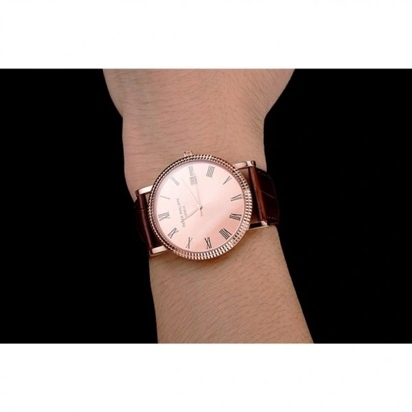 Seasonal Patek Philippe Calatrava 1209
