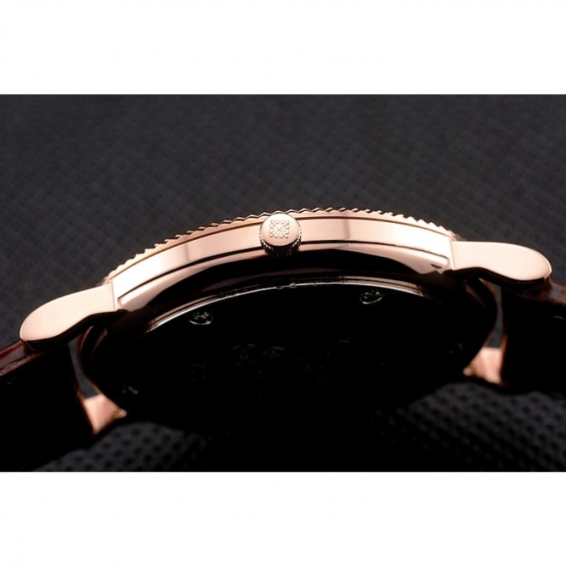 Seasonal Patek Philippe Calatrava 1209