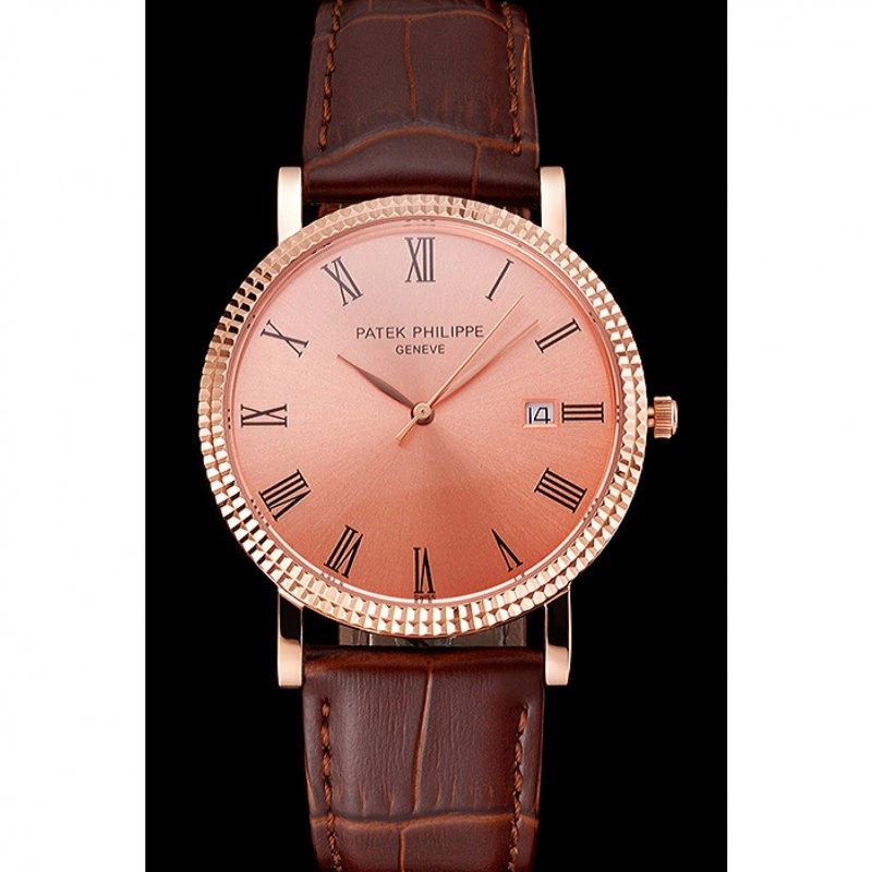 Seasonal Patek Philippe Calatrava 1209