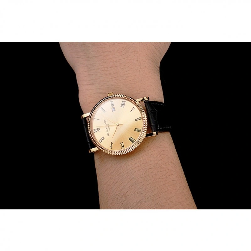 Patek Philippe Calatrava TechFriendly 1195