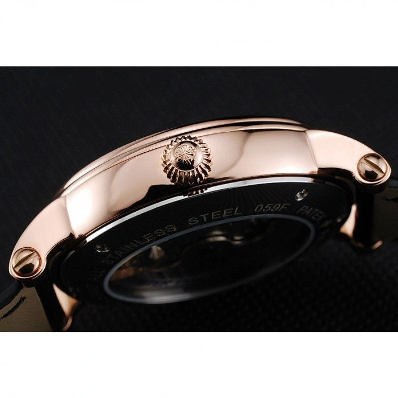 Patek Philippe Complications Resilient 1260