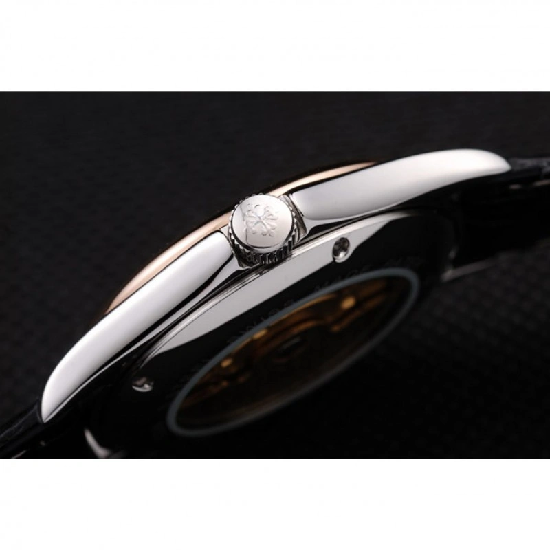 Sustainable Patek Philippe Geneve Calatrava 1256
