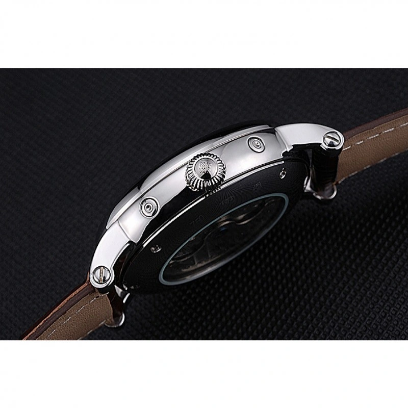 Patek Philippe Grand Complications Efficient 1317